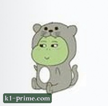 User
